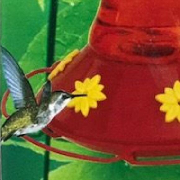 Garden Treasures 26 oz 6 Feeding Ports Glass Hummingbird Feeder - Picture 9 of 12